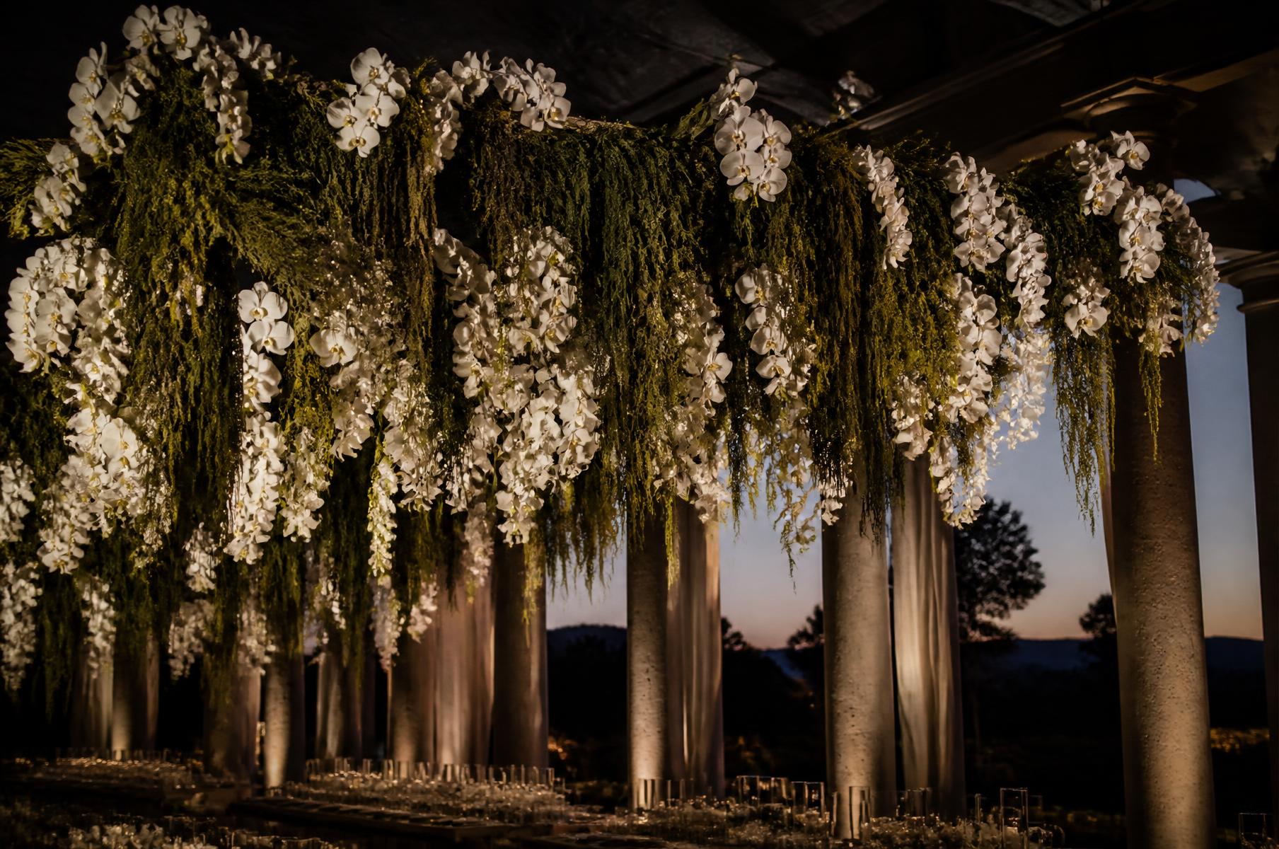Canopy